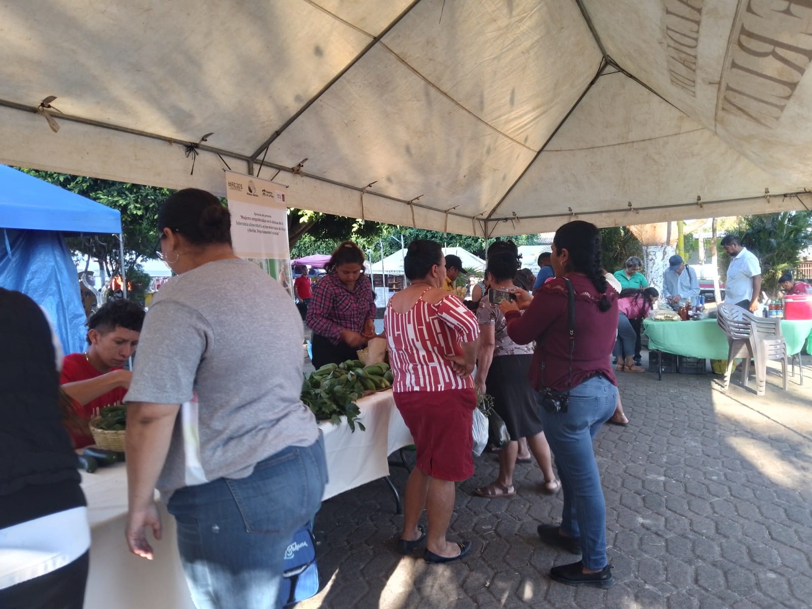 Mercadito Solidario Agroecológico 